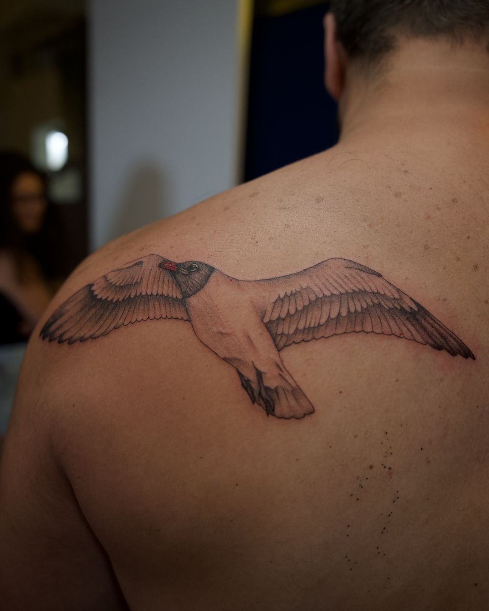 Fine-line seagull in flight tattooed across the shoulder, by Rodney Alacan